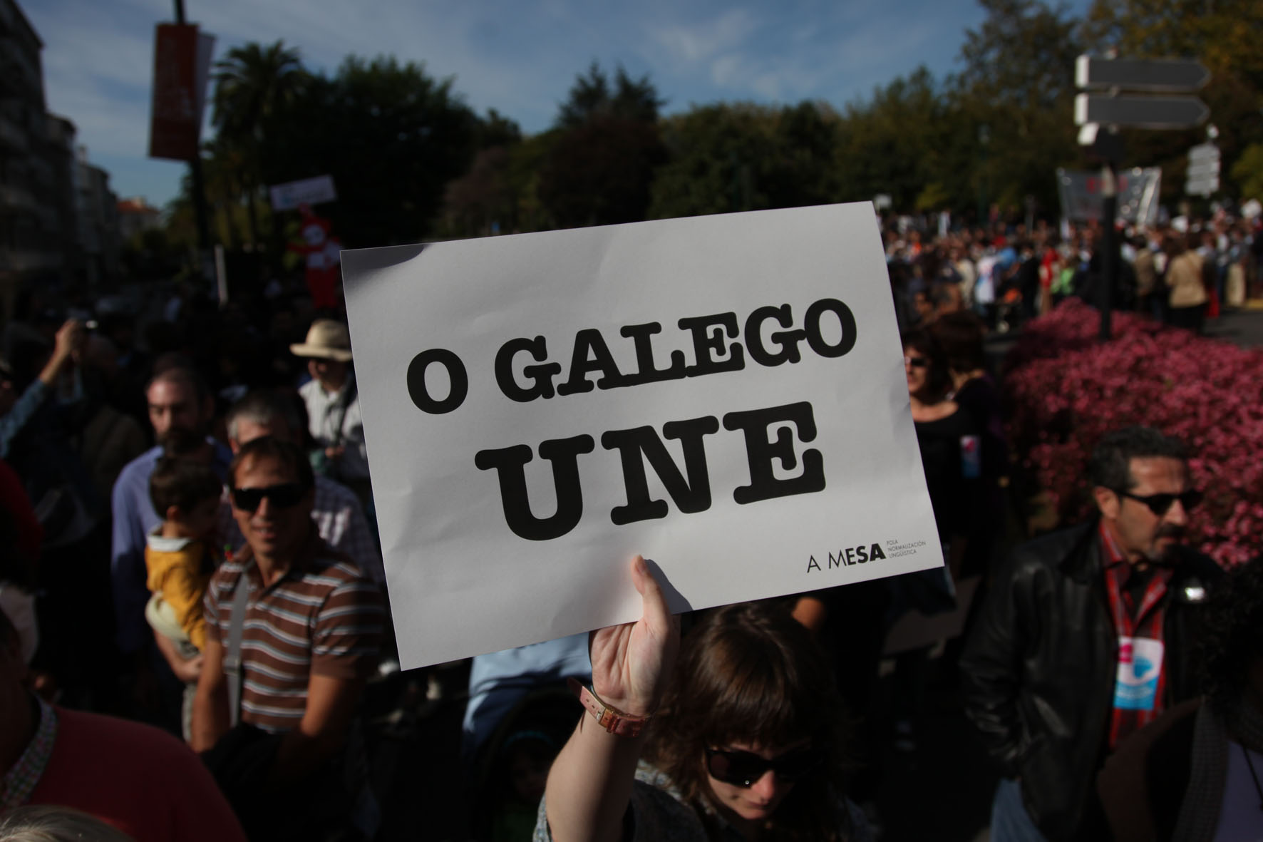 Manifestacion en defensa do Galego