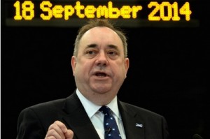 salmond